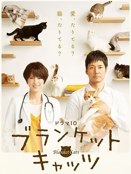 《毛毯猫》 (2017) 【剧情/爱情】 720P 5.2G 全7集 中文字幕 - 西岛秀俊&吉濑美智子，温暖人心的猫咪情缘