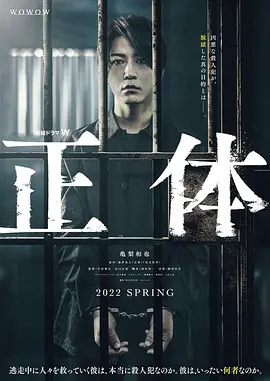 《真实身份》 (2024) 【剧情/悬疑】 1080p 官方中字 5.6G - 染井为人小说改编，逃亡448天的真相