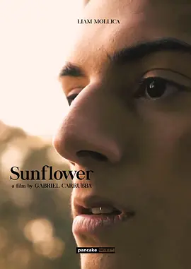 《向日葵》 (2023) 【剧情/成长/LGBTQ+】 1080P 1.5G 中文字幕 - 澳大利亚青春电影,少年探索自我认同之旅