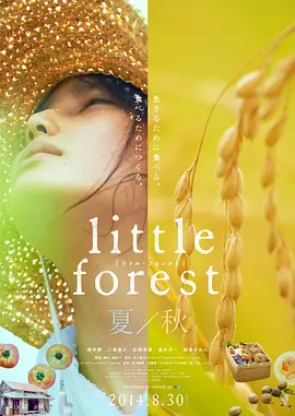 《小森林 夏秋篇》Little Forest: Summer & Autumn (2014) 【治愈/美食/日本】1080P x265 简繁日三字幕 | 豆瓣9.0治愈神作×桥本爱封神之作×日式田园美学 | FRDS修复版5.02GB（豆瓣top129）