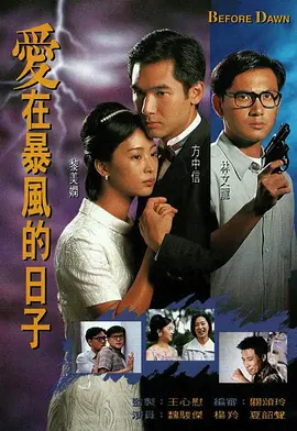 《爱在暴风的日子》Before Dawn (1995) 【港风虐恋/警匪对决/社会批判】20集全 720P 国语 | 方中信荷尔蒙刑警×黎美娴烈火红颜×林文龙黑帮少主 | 全辑16.5G