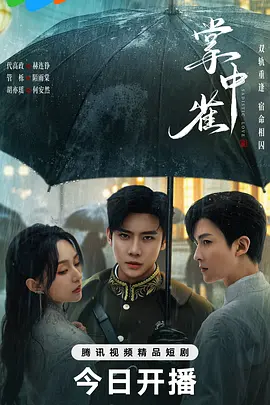 《掌中雀》 (2025) 【剧情/爱情/短剧/中国大陆】 全24集完结 - 督军的复仇与爱恨纠葛