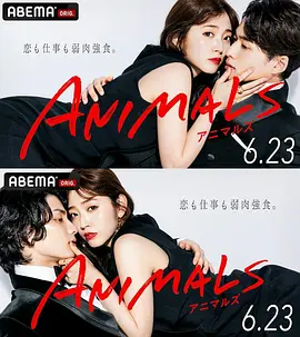《动物 ANIMALS》(2022) 【爱情/日本】 全8集1080P 10.2G - 铃木爱理职场逆袭,邂逅霸道总裁与狂妄摄影师