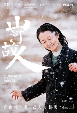 《山河故人》 (2015) 【剧情/家庭/中国大陆/法国/日本】 贾樟柯导演史诗级力作 | 跨越二十六年的时间史诗