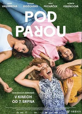 《酒精计划》 (2025) 【剧情/喜剧/捷克/斯洛伐克】 1080P 2.7G | 斯洛伐克版《酒精计划》 | 中年教师的微醺实验