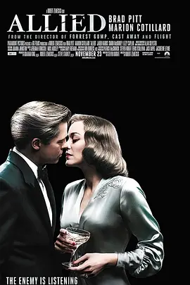 《间谍同盟》 (2016) 【爱情/美国/战争】 | 布拉德·皮特唯美谍战 | 战火中的凄美绝恋