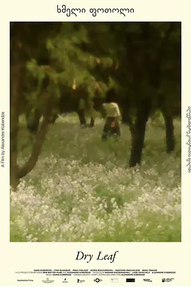 《落叶球》 (2025) 【剧情/格鲁吉亚/文艺】 | 亚历山大·科贝里泽诗意新作 | 寻女路上的格鲁吉亚风情画卷