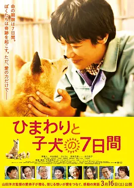 《向日葵与幼犬的7天》 (2013) 【剧情/日本/感人】 | 堺雅人催泪神作 | 真实故事改编人宠奇迹