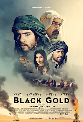《黑金》 (2011) 【法国/剧情】 | 大漠枭雄的石油圣战 | 阿拉伯版《血色将至》