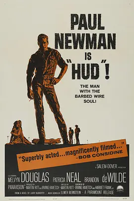 《原野铁汉》 (1963) 【美国/剧情/西部】 | 影史最迷人的反英雄 | 保罗·纽曼与现代西部的道德黄昏