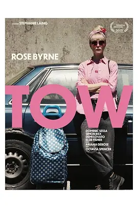 《被拖走的车》 (2025) 【美国/剧情/传记】 | 21634美元天价罚单背后的生存反击 | 现实版《永不妥协》式的底层维权史诗