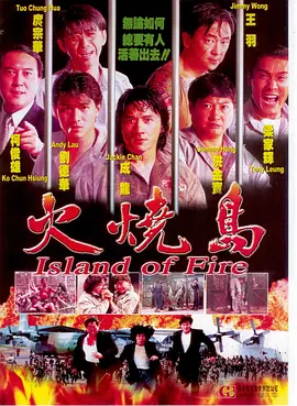 《火烧岛》 (1991) 【中国台湾/剧情/动作/犯罪】 | 华语影坛“神仙阵容”绝响 | 成龙 x 刘德华 x 洪金宝 x 梁家辉