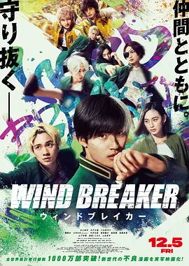 《防风少年》 (2025) 【日本/剧情/动作】 | 顶级热血漫改真人巨制 | 水上恒司化身白毛刺头掀起守护街区青春风暴