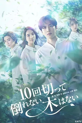 《没有砍十次还不倒的树》 (2026) 【日本/剧情/爱情】 | 跌落谷底的财阀继承人与冷艳女医生的命运交织 | 跨越23年时空的虐恋与救赎物语