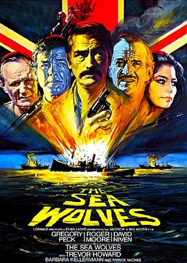 《海狼》 (1980) 【英国/动作/战争】 | 老牌绅士硬汉的二战传奇 | 诸神黄昏版的《敢死队》原型