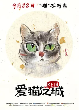 《爱猫之城》 (2016) 【土耳其/纪录片】 | 专属吸猫患者的满分治愈之作 | 从流浪猫视角窥探伊斯坦布尔的灵魂,分类:纪录片,发布时间:2026-07-11 《爱猫之城》 (2016) 【土耳其/纪录片】 | 专属吸猫患者的满分治愈之作 | 从流浪猫视角窥探伊斯坦布尔的灵魂
