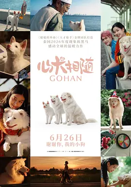 《心犬相随》 (2026) 【泰国/剧情/喜剧/爱情】 | 桃心鼻流浪犬的三段治愈羁绊 | 泰国黄金名导联手打造催泪温情力作