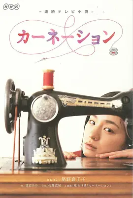《康乃馨》 (2011) 【日本/剧情/传记】 | 豆瓣9.2分NHK晨间剧巅峰之作 | 日本时尚界教母小筱绫子的传奇人生与生命赞歌
