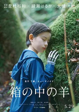 《盒子里的羊》 (2026) 【日本/剧情/科幻】 | 是枝裕和执导 | 绫濑遥领衔近未来AI伦理与家庭疗愈之作