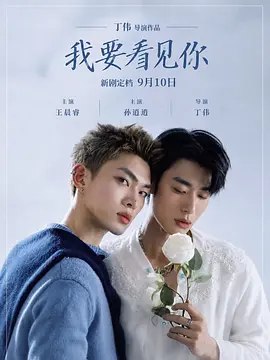 《我要看见你》 (2026) 【中国大陆/剧情/爱情】 | 王晨睿×孙逍逍主演 | 纱布之下的心动交织，五年后重逢的未尽爱意