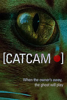 《猫咪摄像头》 (2026) 【美国/惊悚/恐怖】 | 宠物监控视角伪纪录惊悚 | 窥探空巢新房背后的致命秘密