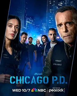 《芝加哥警署》第十四季 (2026) 【美国/剧情/犯罪】 | 迪克·沃尔夫长寿警匪宇宙回归 | 汉克·博伊特铁血执法的灰色边境